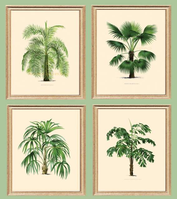 Set Of Four Palm Tree Prints, Tropical Botanical Wall Art - image 1