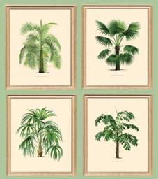 Set Of Four Palm Tree Prints, Tropical Botanical Wall Art - thumbnail 1