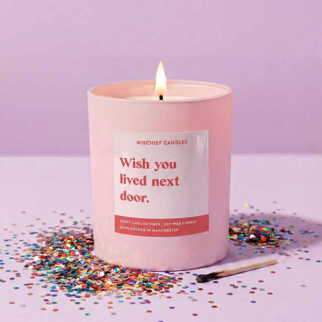 Funny Gift For Friend Wish You Lived Next Door Scented Candle - image 1
