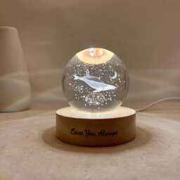 Custom Whale Ball Night Light, Engrave Fish Moon Globe Lamp, Snow Memorial Gift, Room Decor, Cute Baby Table Sphere Lamp - thumbnail 4