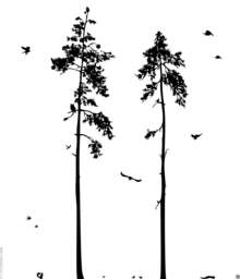 Pine Tree Wall Decal Vinyl Forest Scene With Owls & Squirrels