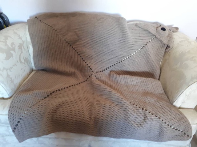 Brown Bear Hooded Blanket - image 1