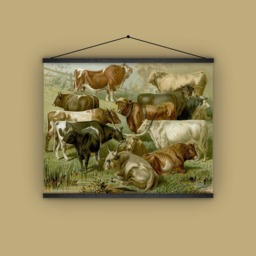 Cattle, Cow, Steer, Farm Animal, Farmer, Wall Hanging, Antique, Vintage, Nature, Country Lover, Gift For Him - thumbnail 1