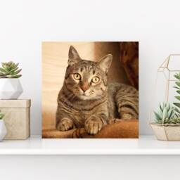 Wood Pet Portrait Print, Dog Lover Gift, Custom Prints, Print On Wood, Cat Photo Frame, Photo, Picture Memorial Frame - thumbnail 3