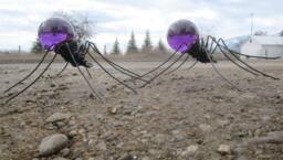 Pair Of Marauding Purple Spiders, Made To Order - thumbnail 1