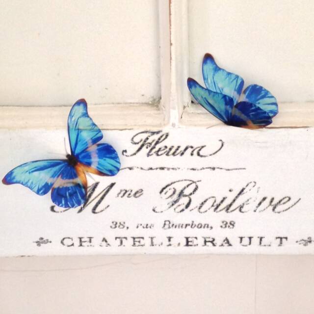 Blue Morpho Butterfly Wall Art 3D Exotic Decorations, Photography Props - Set Of 10 - image 1