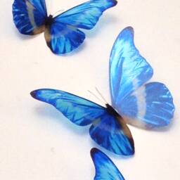 Blue Morpho Butterfly Wall Art 3D Exotic Decorations, Photography Props - Set Of 10 - thumbnail 3