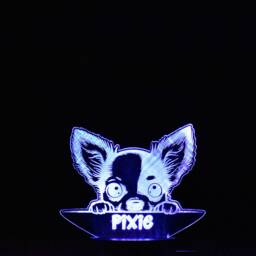 Personalised Chihuahua Led Night Light Engraved Dog Lamp - thumbnail 4