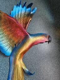 Leather Parrot Type Bird Wall Art - Fantasy Birds Not True Colour, Just Fun Colourful For The Wall