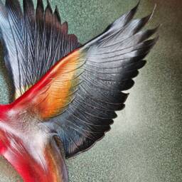 Leather Parrot Type Bird Wall Art - Fantasy Birds Not True Colour, Just Fun Colourful For The Wall - thumbnail 4