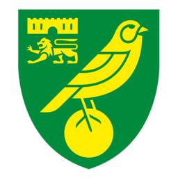 Norwich City Fc - Club Badge Wall Sticker - thumbnail 2
