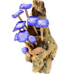 Wall-Hanging Cluster Of Ten Indigo Mushrooms On Teak Root Base - thumbnail 3