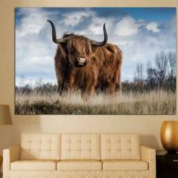 Highland Cow Canvas Print Farmhouse Decor, Texas Longhorn Wall Art - thumbnail 2