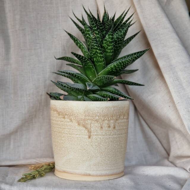 Cream Ceramic Planter, Handmade Glazed Pot, Speckled Plant Large Beige Vessel, Unique British Gift, Handcrafted Pots - image 1