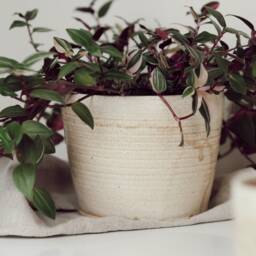 Cream Ceramic Planter, Handmade Glazed Pot, Speckled Plant Large Beige Vessel, Unique British Gift, Handcrafted Pots - thumbnail 2