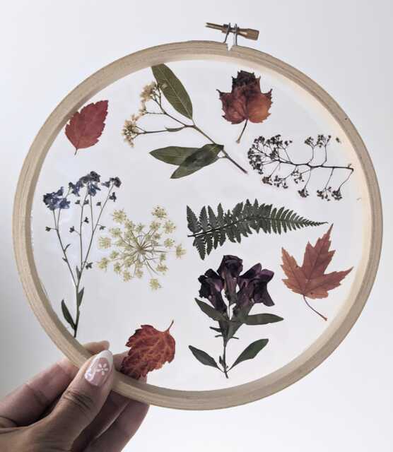 Framed Flowers Wall Art, Assorted Flowers, Hoop Art Decor, Botanical Gifts, Floral Arts, White Nature Lovers Gift - image 1