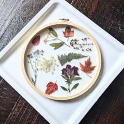 Framed Flowers Wall Art, Assorted Flowers, Hoop Art Decor, Botanical Gifts, Floral Arts, White Nature Lovers Gift - thumbnail 3
