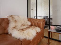 "Original Brown Mouflon X 48"" X 28" - thumbnail 1