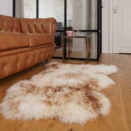 "Original Brown Mouflon X 48"" X 28" - thumbnail 2