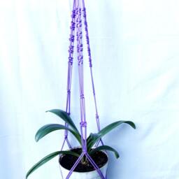 Purple Macrame Plant Hanger - Large Macrame Plant Holder 40 Inches 3mm Hanging Planter Pot Hanging Wall - thumbnail 3