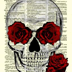 Skull & Roses Art Print Macabre Botanical Decor On 1897 Dictionary Page - thumbnail 3