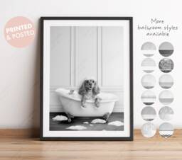 Black & White Print Apricot Cocker Spaniel Dog in A Bath Print, Bathing, Funny Bathroom Animal Bathtub, Dog Tub - thumbnail 1