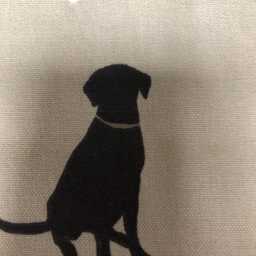 2 X Clarke & Rover Labrador Taupe Cushion Covers 16 - thumbnail 2