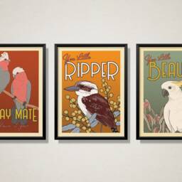 Australian Birds Retro Art Print Trio - Kookaburra, Galah, Cockatoo - thumbnail 2