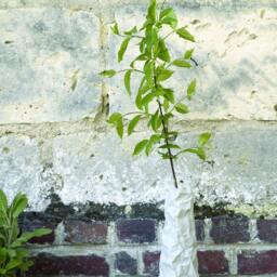 Vase Falaise - H24- in Concrete, Handcrafted - thumbnail 3