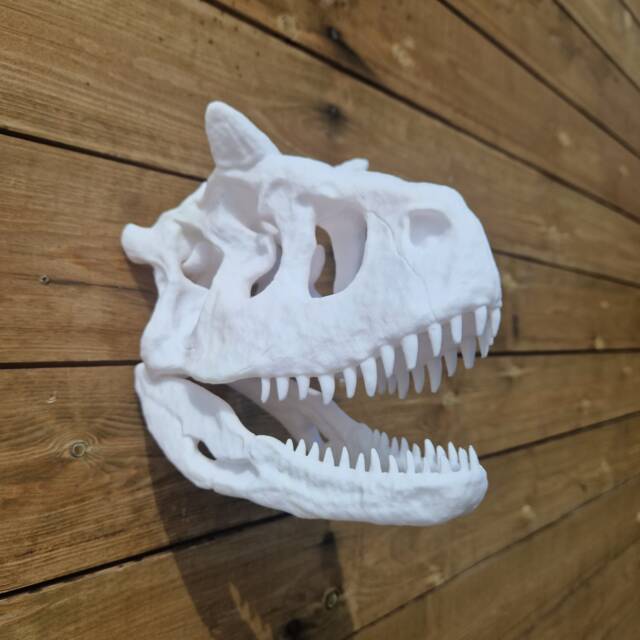 Carnotaurus Skull Wall Art - Dinosaur Mount 3D Printed - image 1