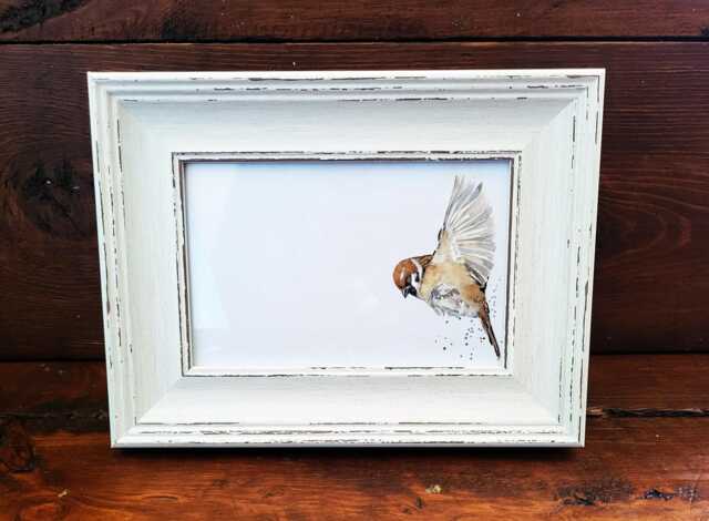 Sparrow Print 17x12cm - White Rustic Frame - Woodland Bird Wall Art, Gift For Nature Lovers - image 1