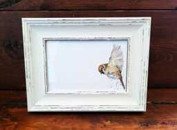 Sparrow Print 17x12cm - White Rustic Frame - Woodland Bird Wall Art, Gift For Nature Lovers