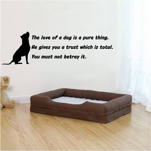 The Love Of A Dog Is Pure Vinyl Wall Art, Decal, Sticker, Transfer, Mural, Removable, Decor, Rent Friendly, Interior, Exterior, - 1017 - image 1