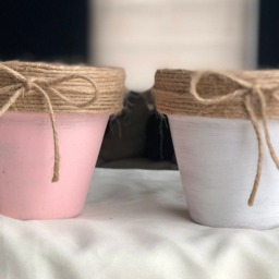 Petite Distressed Terra Cotta Pots - thumbnail 2