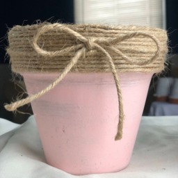 Petite Distressed Terra Cotta Pots - thumbnail 3