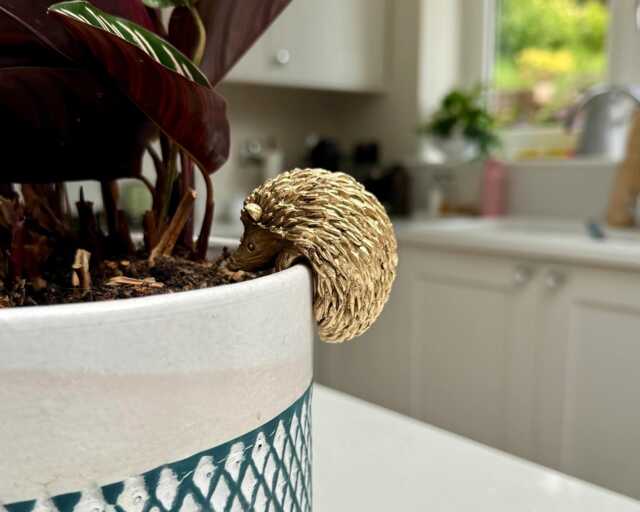 Hedgehog Pot Hanger - Woodland Garden Planter Ornament - 11cm X 9cm - image 1