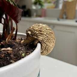 Hedgehog Pot Hanger - Woodland Garden Planter Ornament - 11cm X 9cm - thumbnail 2
