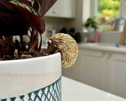 Hedgehog Pot Hanger - Woodland Garden Planter Ornament - 11cm X 9cm - thumbnail 1