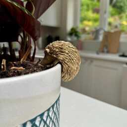 Hedgehog Pot Hanger - Woodland Garden Planter Ornament - 11cm X 9cm - thumbnail 3