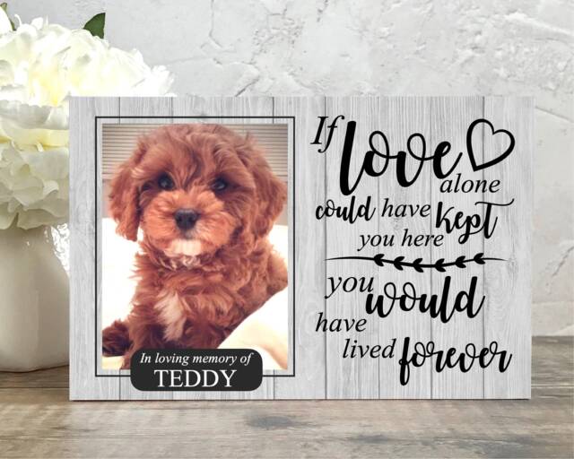 Dog Memorial Gift, Memorial, Pet Frame, Plaque, Photo Picture Cat - image 1