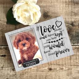Dog Memorial Gift, Memorial, Pet Frame, Plaque, Photo Picture Cat - thumbnail 2