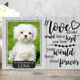 Dog Memorial Gift, Memorial, Pet Frame, Plaque, Photo Picture Cat - thumbnail 3