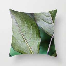 Green Leaves, Pillow Or Cover Home Decoration, Bush, Macro Photo, Green, Botanical Decor, Tropical Leaves, Interior Design - thumbnail 1