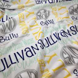 Personalized Baby Name Blanket, Custom Monogrammed Swaddle, Minky Fleece Gift - thumbnail 2