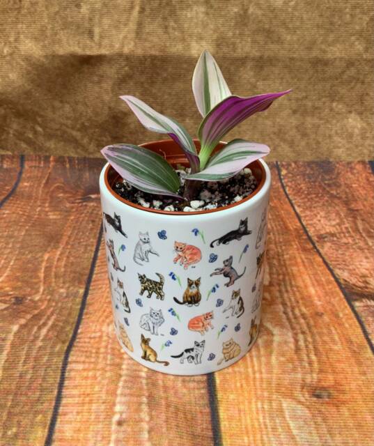 Cat, Ceramic Plant Pot, Cat Gifts, Indoor House Planter - image 1