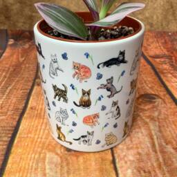 Cat, Ceramic Plant Pot, Cat Gifts, Indoor House Planter - thumbnail 3