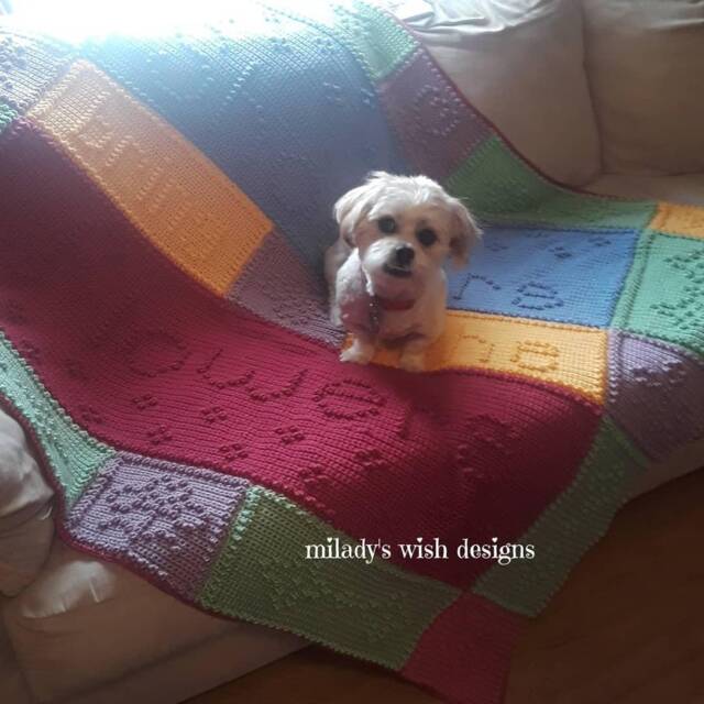 Showers To Flowers Crochet Afghan/Blanket PDF Pattern - image 1