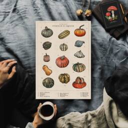 Pumpkin & Squash Artwork - Vintage Artwork Winter Squash Hand-Drawn Botanical Print Kitchen Art Print Food Illustration - thumbnail 1