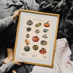 Pumpkin & Squash Artwork - Vintage Artwork Winter Squash Hand-Drawn Botanical Print Kitchen Art Print Food Illustration - thumbnail 3