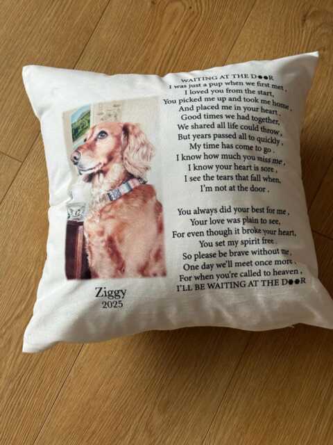Personalised Memorial Pet Keepsake Cushion , I Never Left You , Cuddle Gift , in Loving Memory , Heaven - image 1